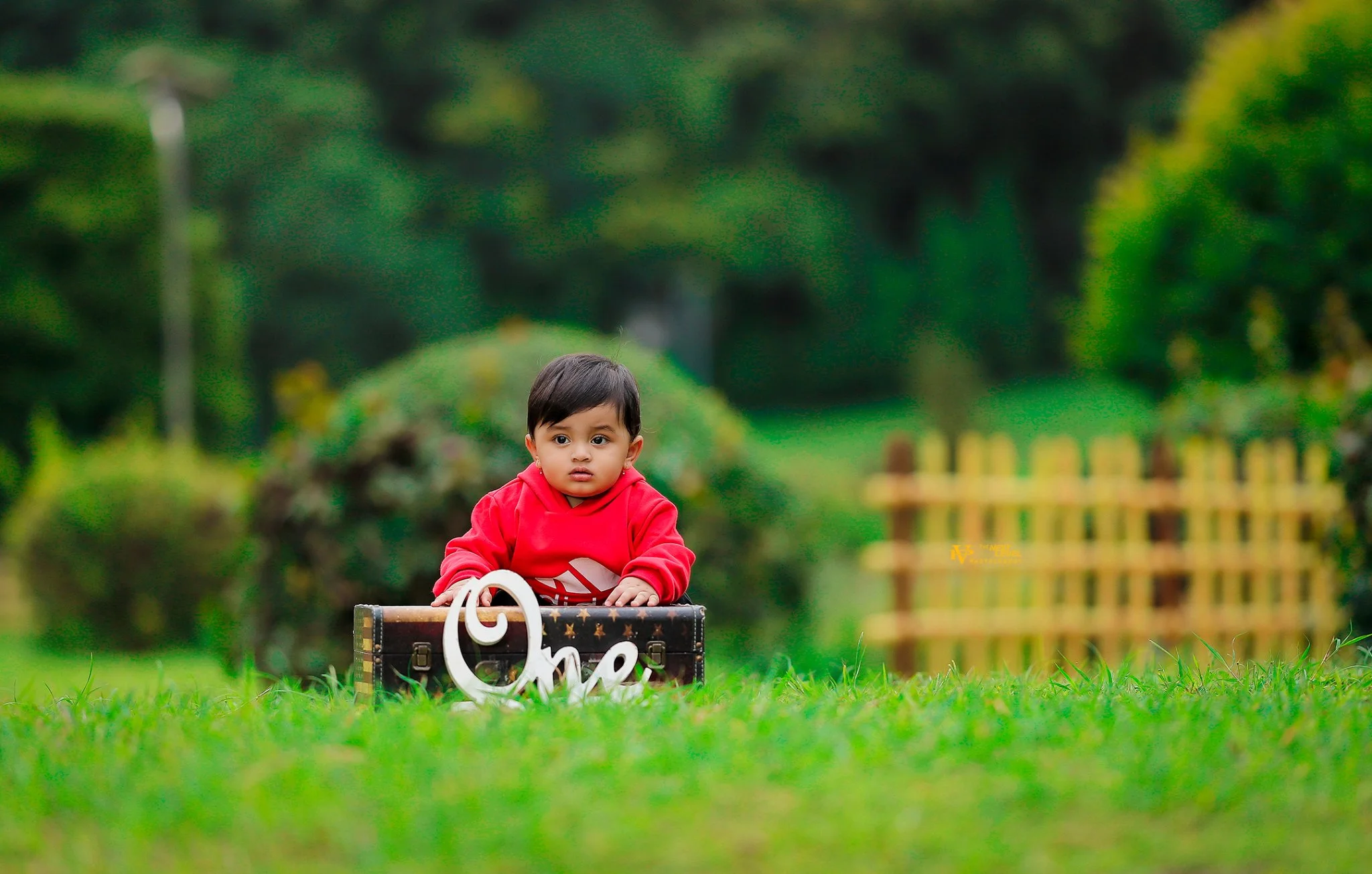 Best professional babies & kids photographer in pune baby photoshoot in pu la deshpande garden